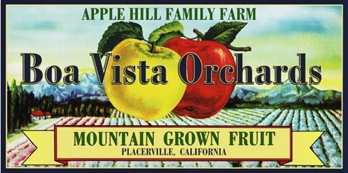 Boa Vista Vintage Fruit Crate Labels